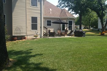 backyard-before-artistic-group-inc_10294